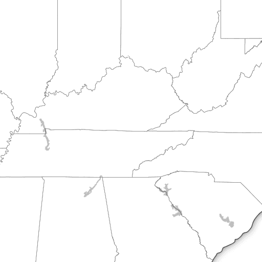 Windy: Wind map & weather forecast